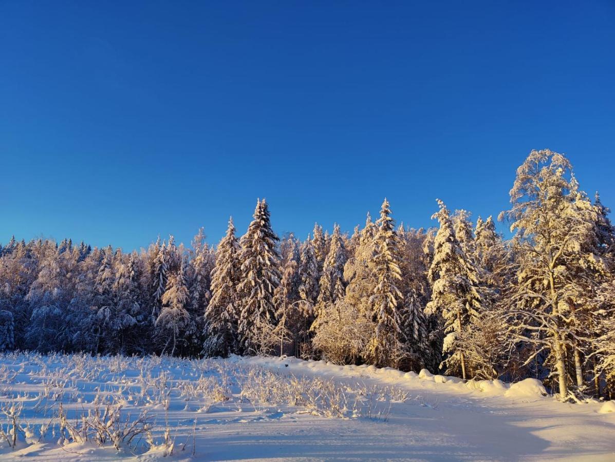 Maatilamatkailu Janisvaara Kolinkylä Exteriör bild