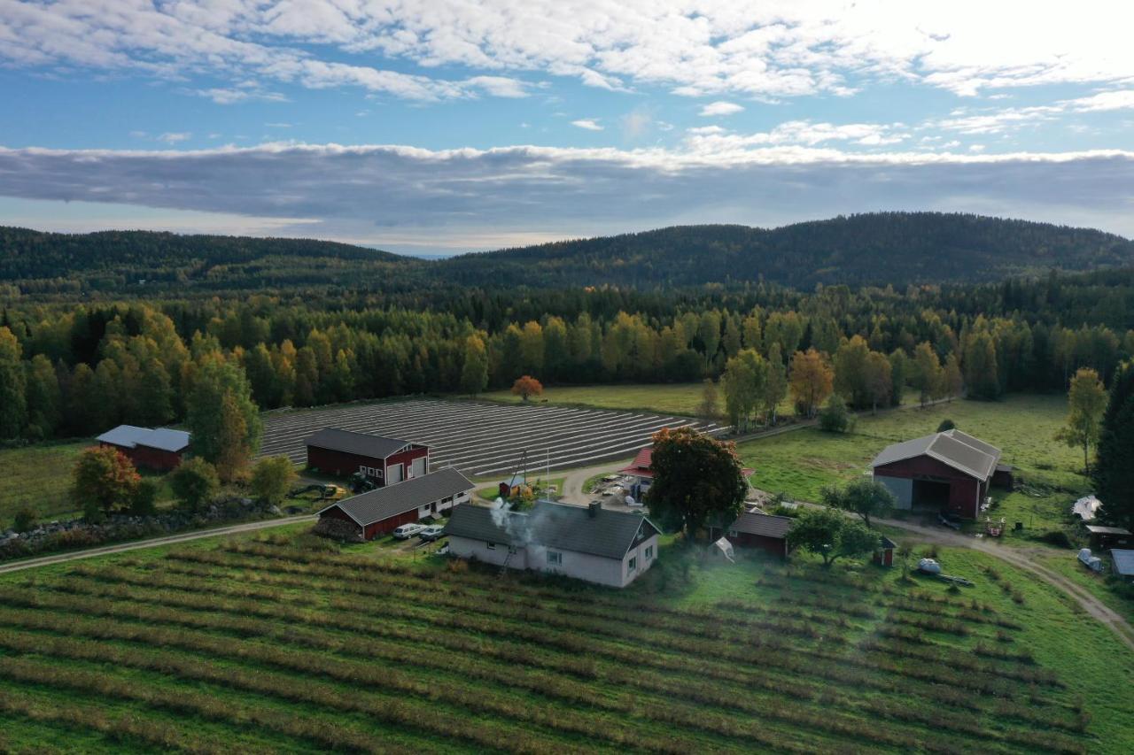 Maatilamatkailu Janisvaara Kolinkylä Exteriör bild