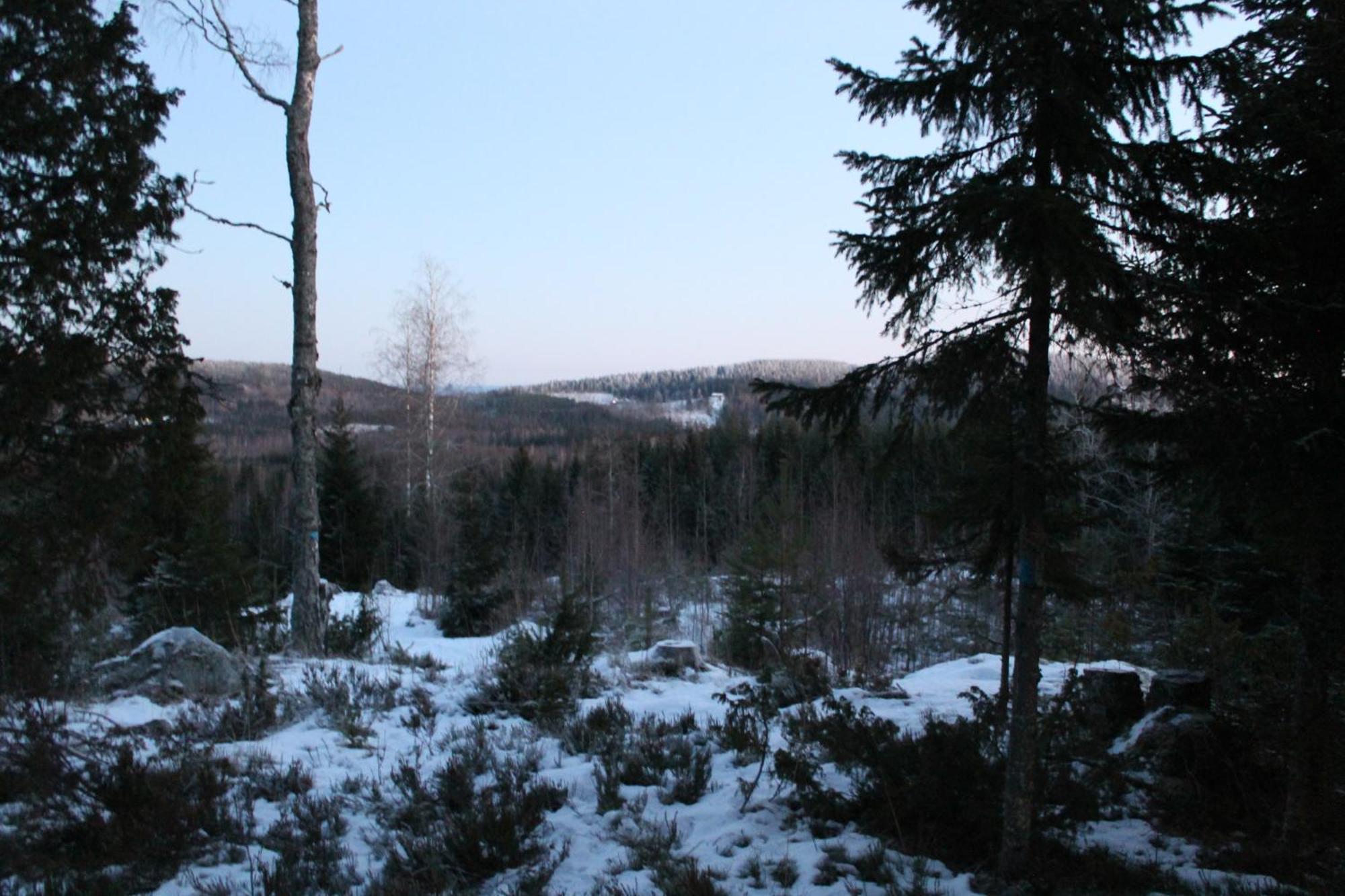 Maatilamatkailu Janisvaara Kolinkylä Rum bild