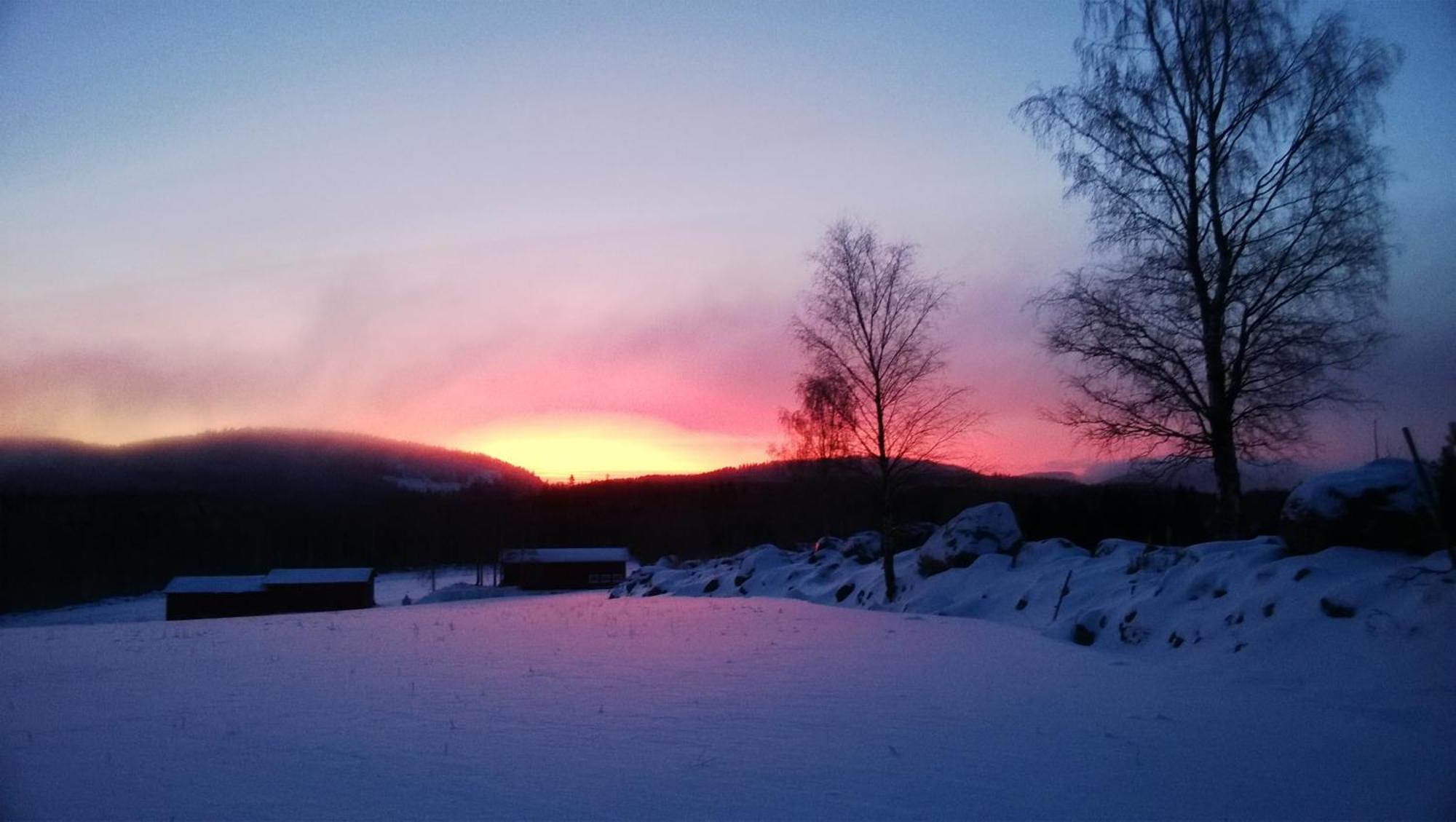 Maatilamatkailu Janisvaara Kolinkylä Rum bild