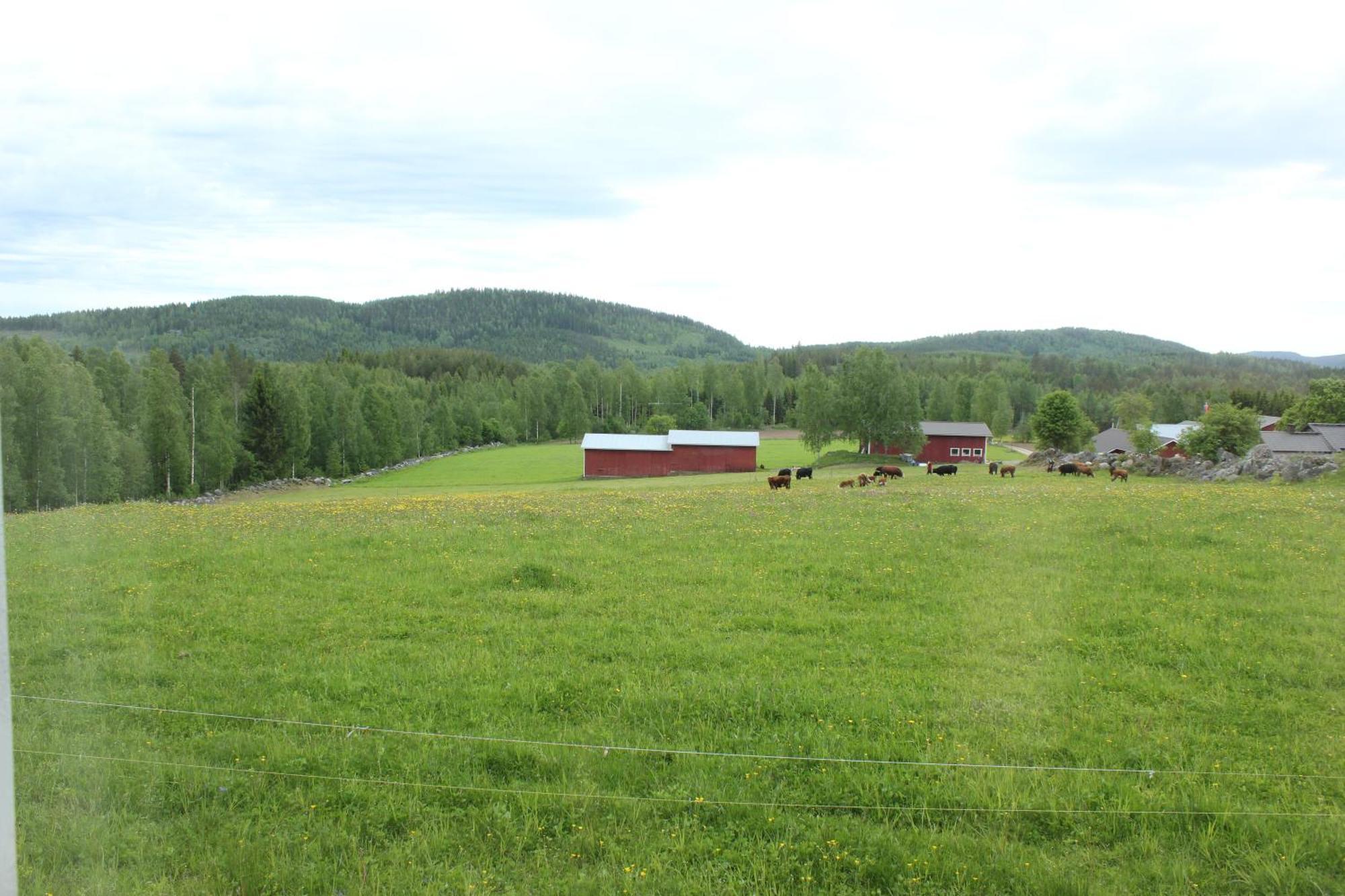 Maatilamatkailu Janisvaara Kolinkylä Rum bild