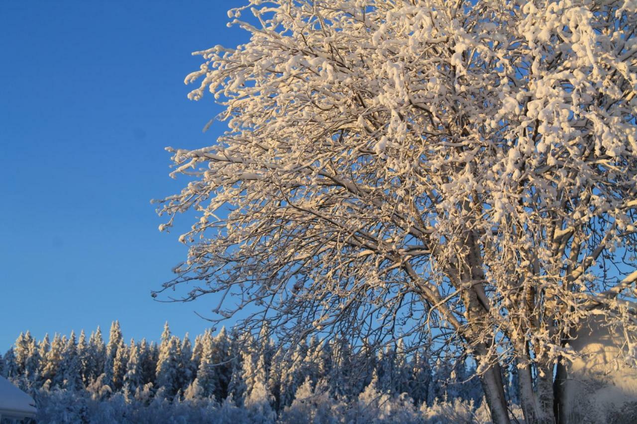 Maatilamatkailu Janisvaara Kolinkylä Exteriör bild