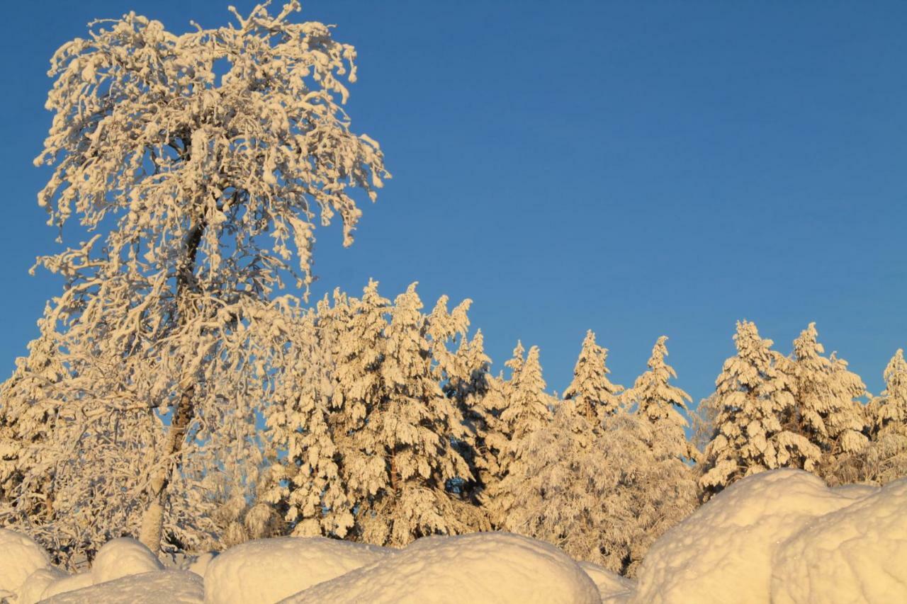 Maatilamatkailu Janisvaara Kolinkylä Exteriör bild