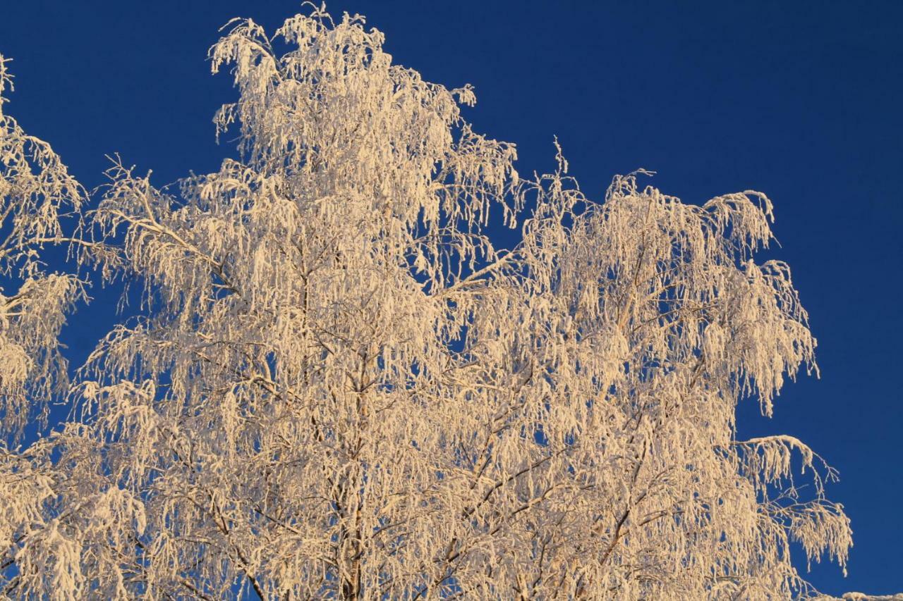 Maatilamatkailu Janisvaara Kolinkylä Exteriör bild